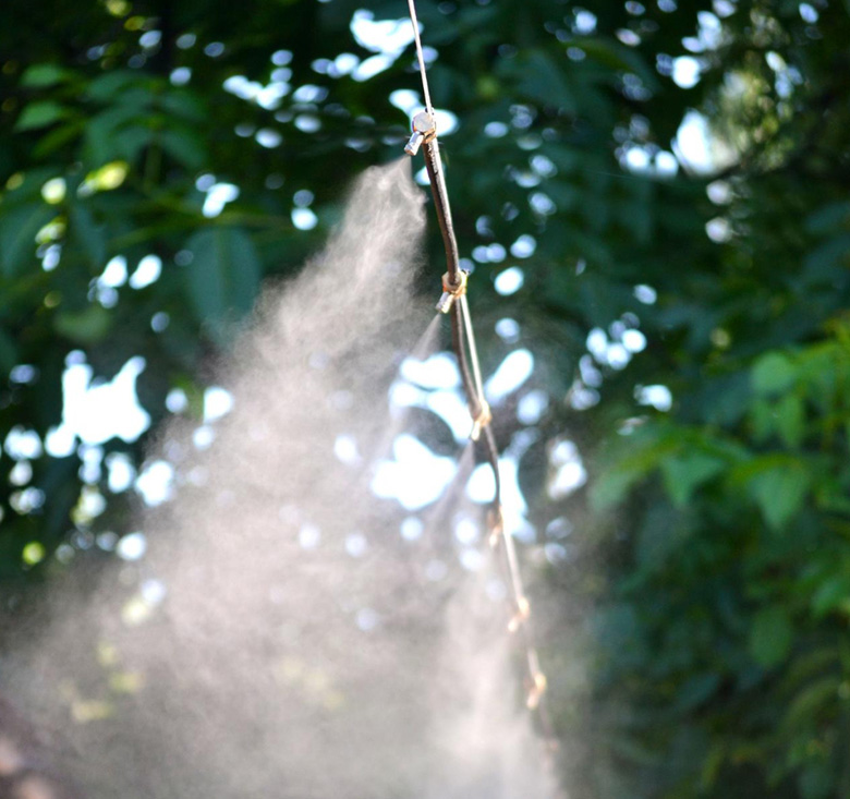 Solutions végétales agricoles – semences, engrais, nutrition foliaire Adivalore