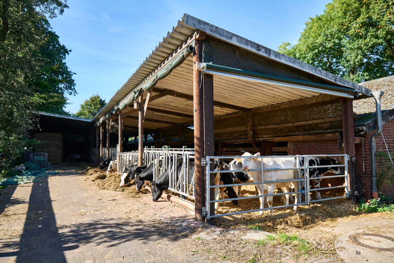 Tubulaire agricole pour stabulation bovine
