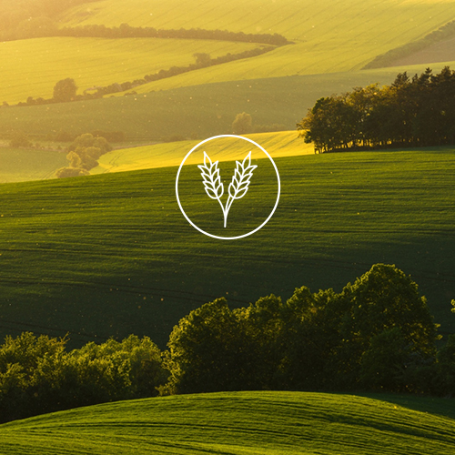 semences agricoles engrais durables La Boutique Debrand Jura Ain Saône-et-Loire